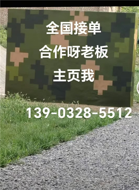 滨州专业迷彩漆施工：围墙防护数码漆